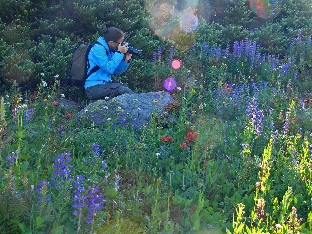 Eagle'S Nest Resort Anahim Lake Eksteriør billede
